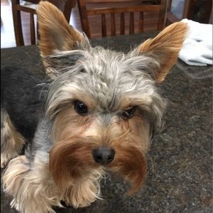 Meet your Posher, Angela